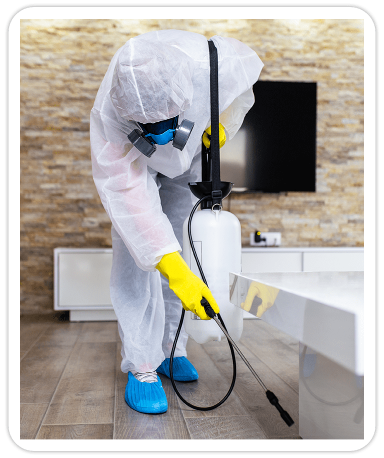 Exterminator Spraying Pesticide